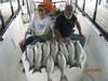 (10/18/2016) - Nice Striped Bass